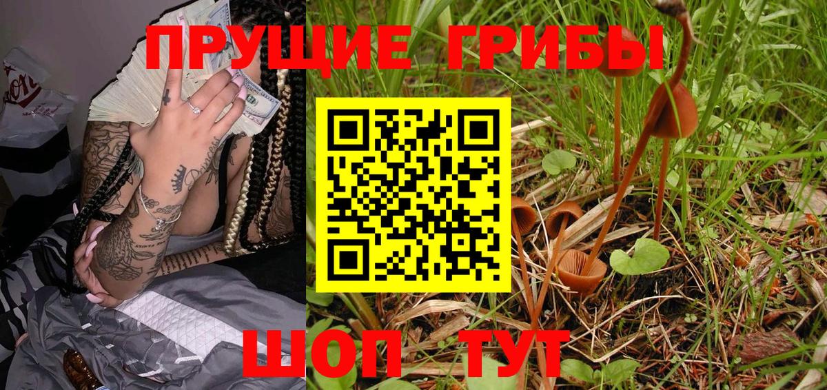 Уссурийск  Галлюциногенные грибы Cubensis  Псилоцибиновые грибы Cubensis  Вход с VPN 