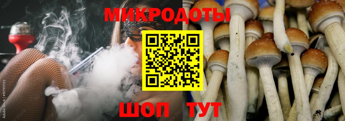 Галлюциногенные грибы Psilocybe Уссурийск